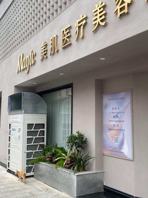 医疗美容服务管理办法 医疗美容服务管理办法