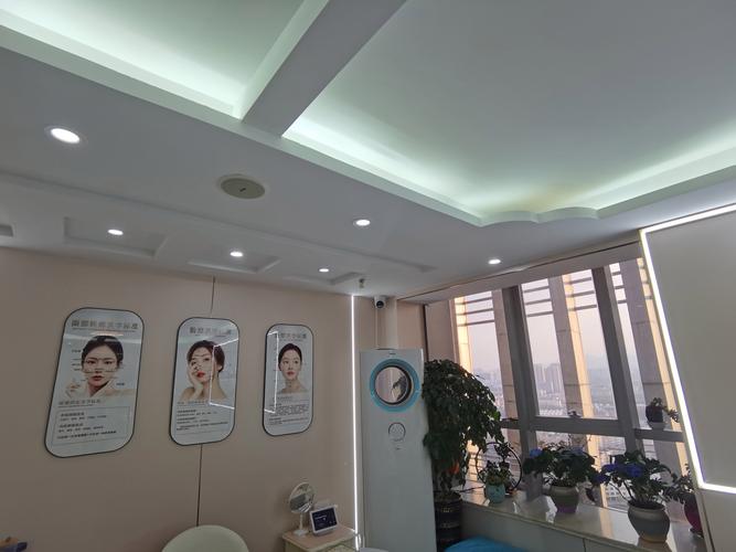 《医疗美容项目分级管理目录》 《医疗美容项目分级管理目录》